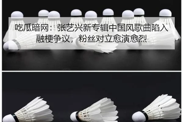吃瓜暗网：张艺兴新专辑中国风歌曲陷入融梗争议，粉丝对立愈演愈烈